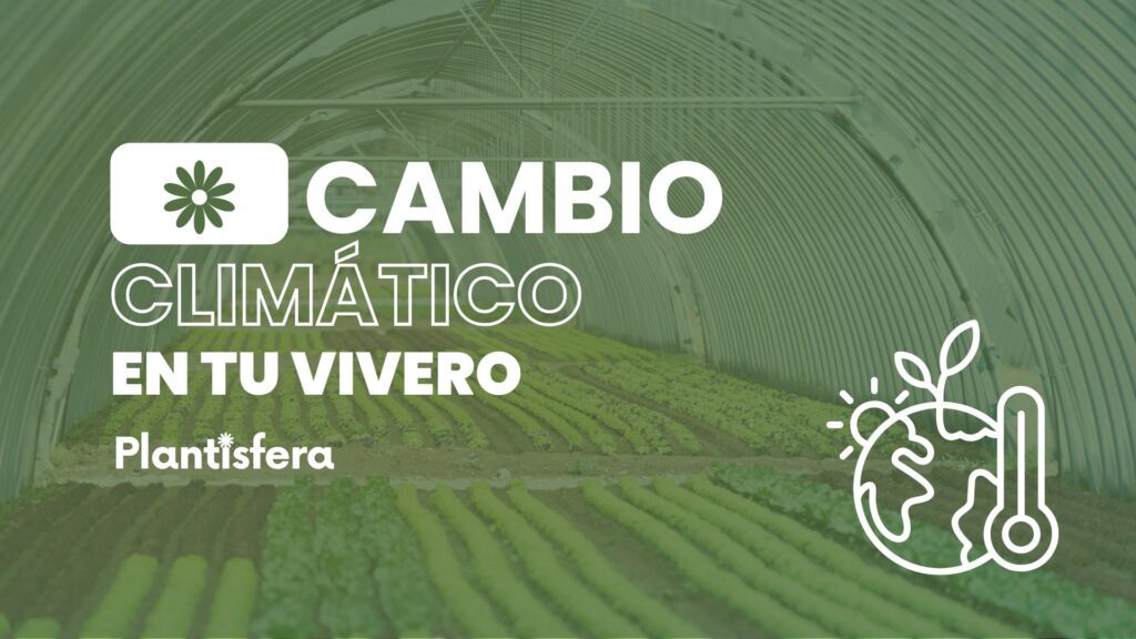 Cambio climático vivero