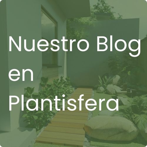 Blog de Jardinería