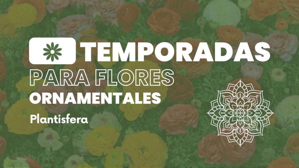 Temporadas para flores