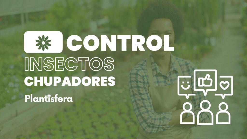 Guía de control de insectos chupadores